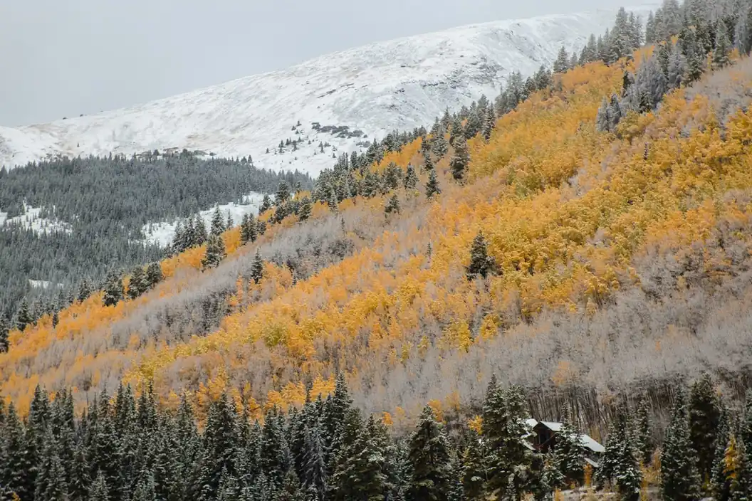Winter Park alpine terrain, Colorado